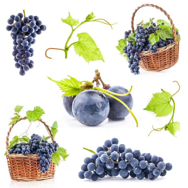 Коллекции темного винограда Стоковое Изображение