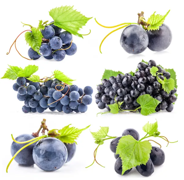 Коллекции темного винограда Стоковое Изображение