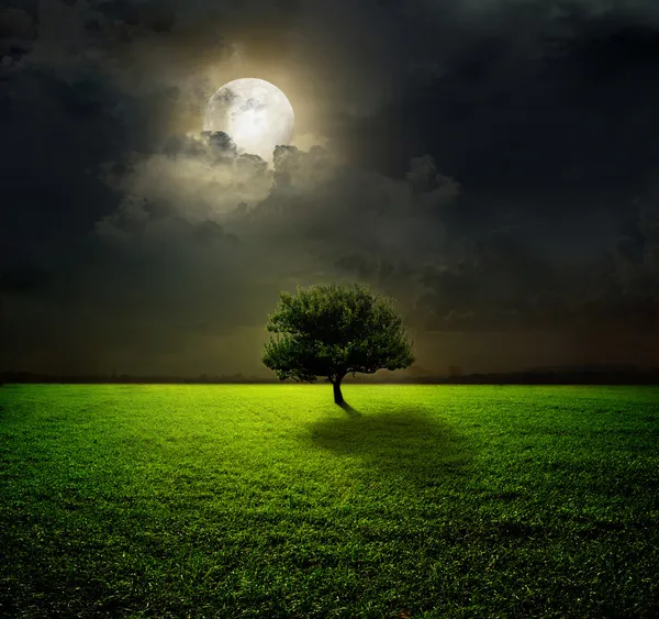 Ночь и Луна — стоковое фото