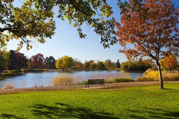 Лавки парковые озера осенью — стоковое фото