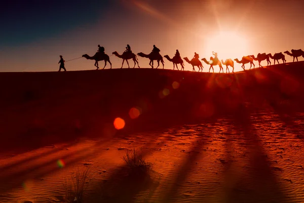 Верблюжьих караванов через пустыню Лицензионные Стоковые Фото