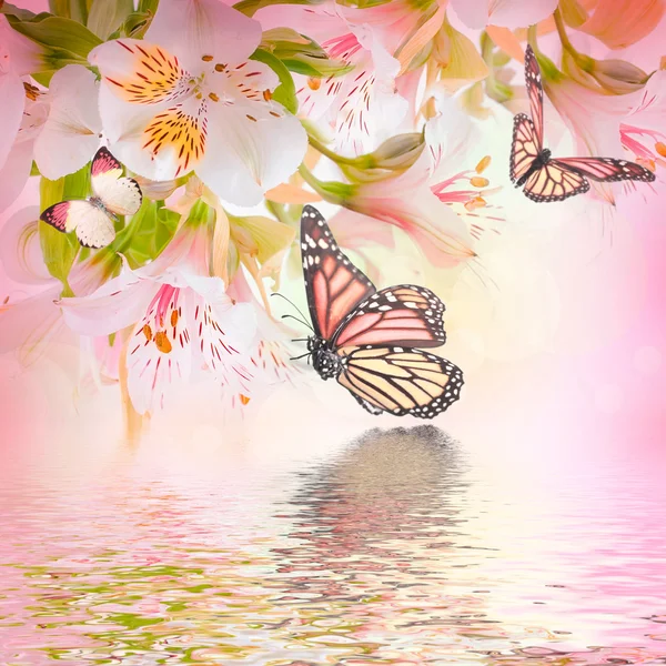 Красивый цветок и бабочка, размыли и цветные — стоковое фото