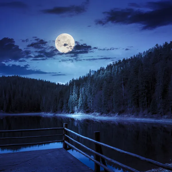 Сосновый лес и озеро возле горы ночью — стоковое фото