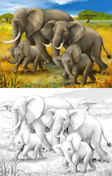 Сафари - слонов - раскраски страница - иллюстрации для детей — стоковое фото