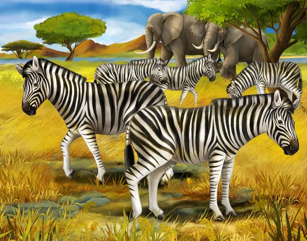 Сафари - зебры и слонов - иллюстрации для детей — стоковое фото