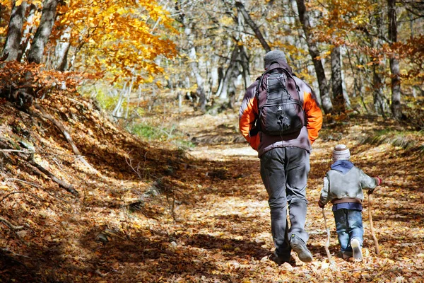 Отец и сын, ходить в осеннем лесу — стоковое фото