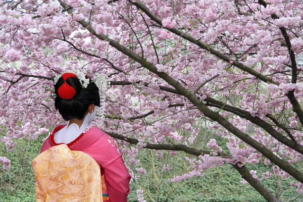 Японская гейша — стоковое фото