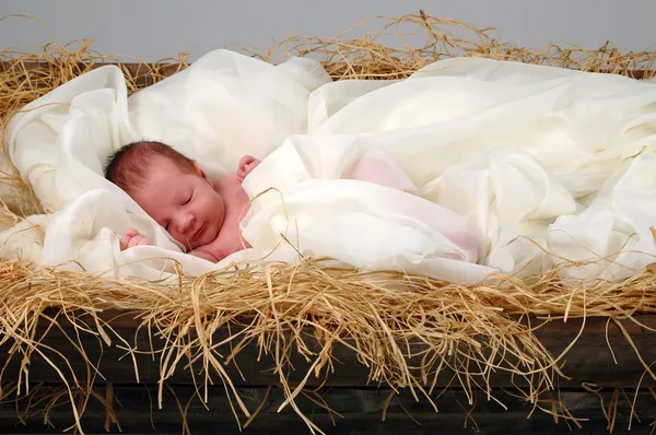 Младенца Иисуса в ясли — стоковое фото