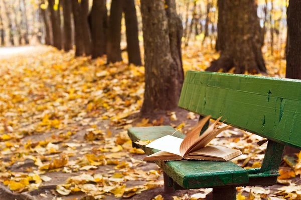 Старая книга на скамейке в Осенний парк — стоковое фото