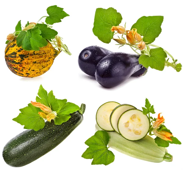 Коллекция свежих овощей: кабачки, дыни, баклажаны, костного мозга с листьями и цветами, изолированные на белом фоне Лицензионные Стоковые Фото