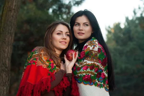 Русские девушки в национальных платках Лицензионные Стоковые Фото