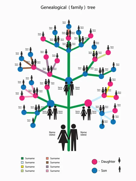 Векторные иллюстрации с изображением генеалогическое древо семьи — стоковый вектор