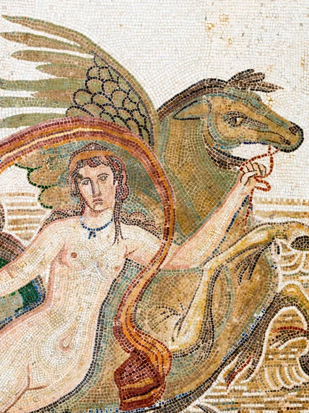 Venus Mosaic (3) — стоковое фото