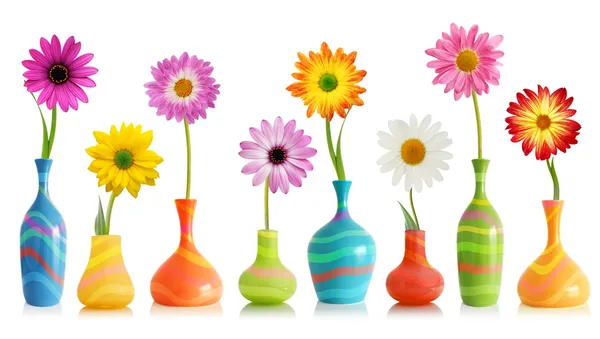 Первоклассные цветы в вазах — стоковое фото