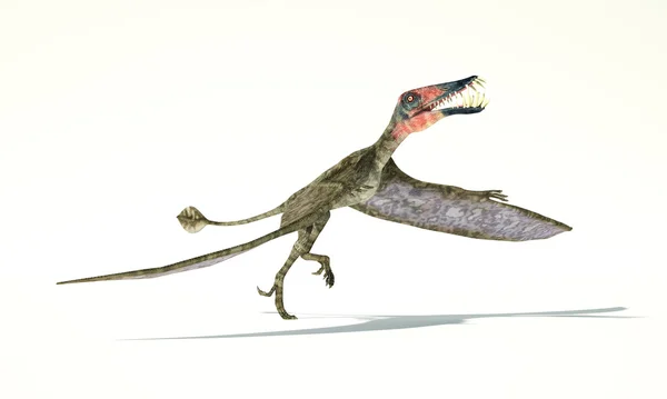 Dorygnathus полет динозавра фотореалистичных представление, принять — стоковое фото