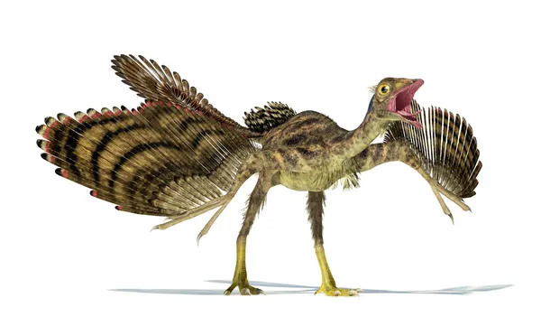 Фотореалистичных представление археоптерикса динозавра — стоковое фото