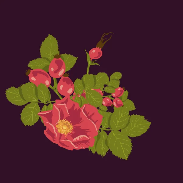 Цветочный фон с дикой розы — стоковый вектор