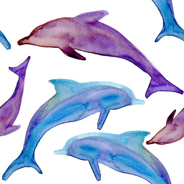 Красочные дельфины Лицензионные Стоковые Фото