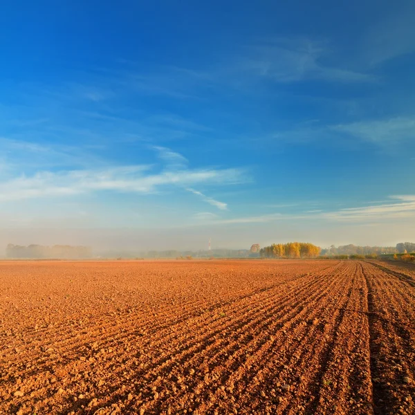 Оранжевый почвы поле против голубого неба Стоковое Фото