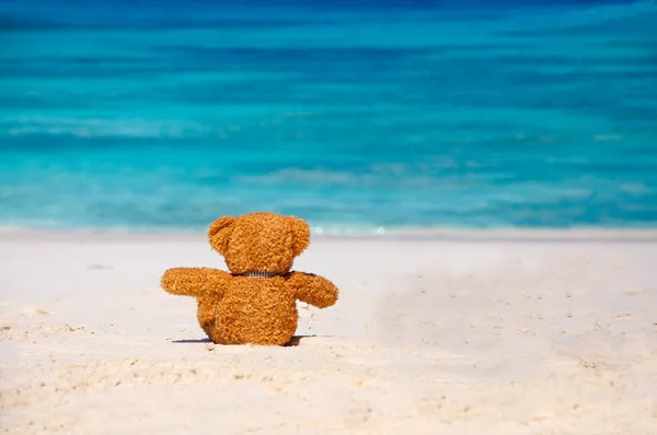 Одиночество Мишка сидел на пляже — стоковое фото