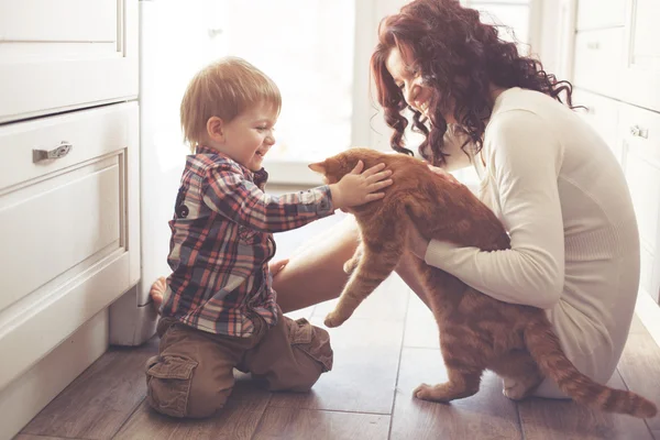 Мать и ребенок, играющий с кошкой — стоковое фото