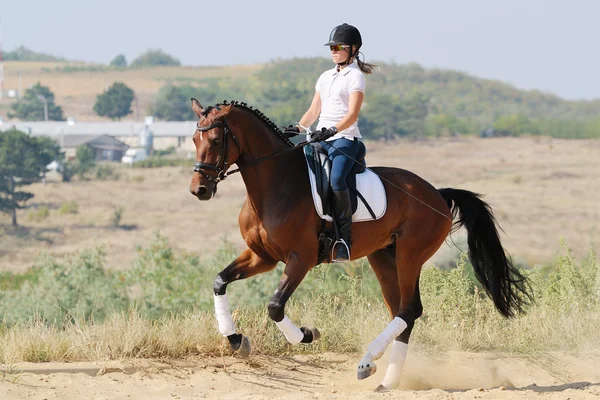 Equestrianism: наездник на лошади объездки лошадей залива, идущем галопе — стоковое фото