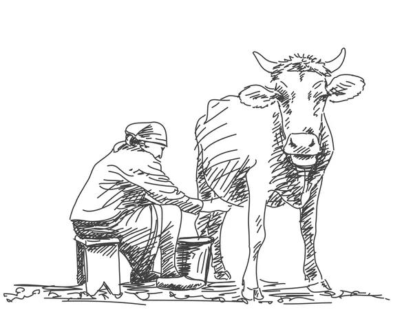Женщина, доящая корову — стоковый вектор