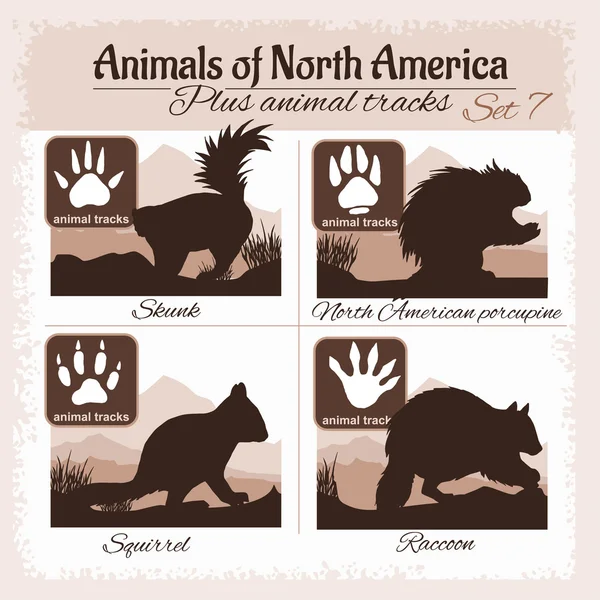 Северная Америка животных и следы животных, следы — стоковый вектор