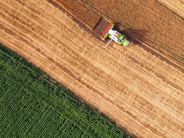 Вид с воздуха объединения на области урожая — стоковое фото