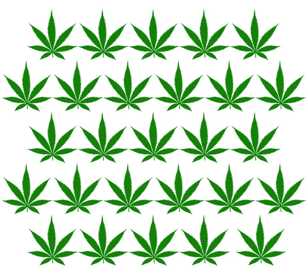Шаблон листа марихуаны — стоковое фото