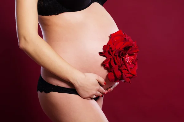 Красный цветок розы на живот беременной женщины — стоковое фото