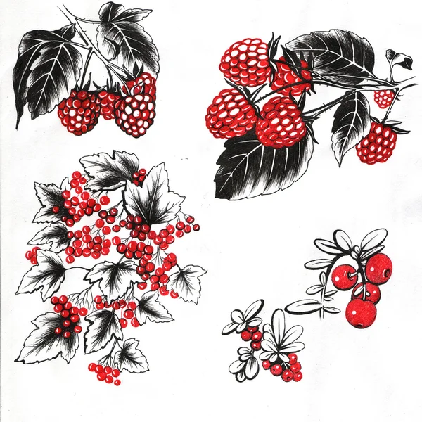 Летние ягоды - малины и красной смородины — стоковое фото