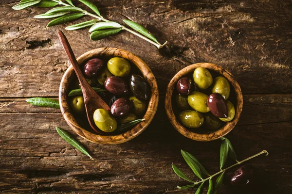 Оливки на ветке — стоковое фото