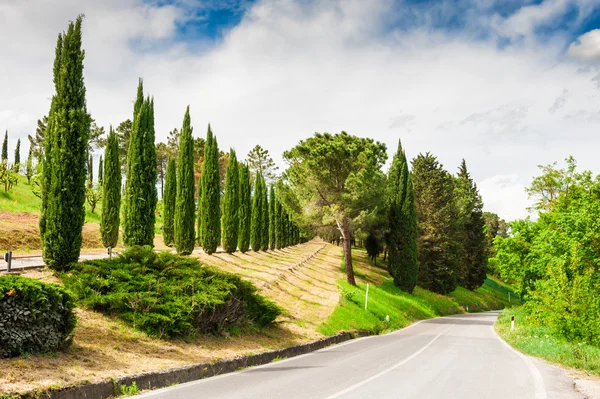 Дорога в сельской местности в Тоскане, Италия — стоковое фото