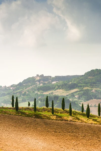 Поля зрения в Тоскане — стоковое фото