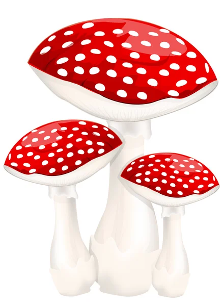 Красный яд грибы — стоковый вектор