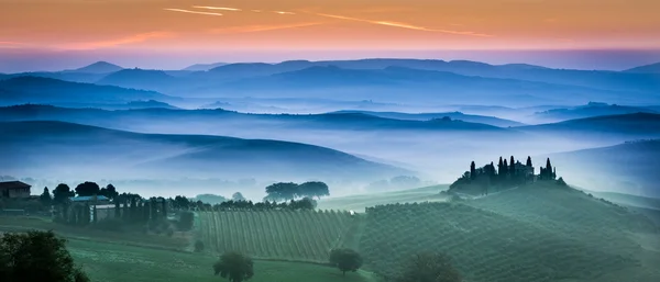 Красивые зеленые поля и луга на закате в Тоскане — стоковое фото