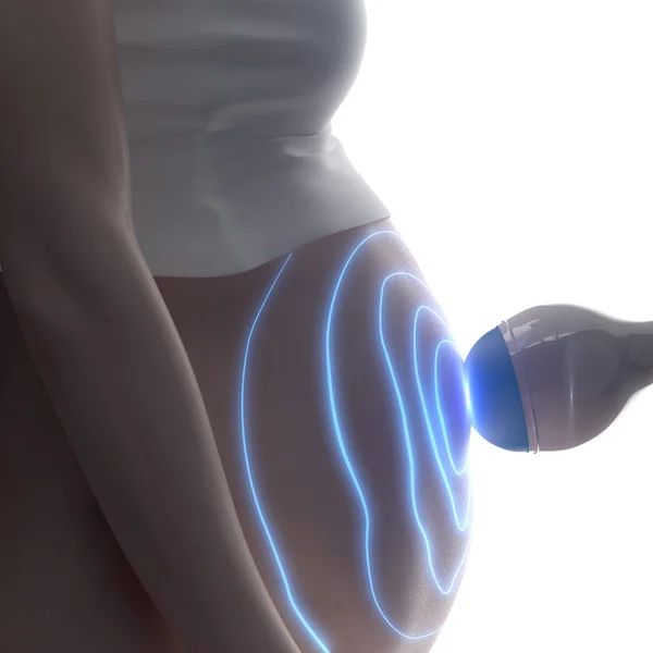 Ультразвук во время понятия беременности — стоковое фото