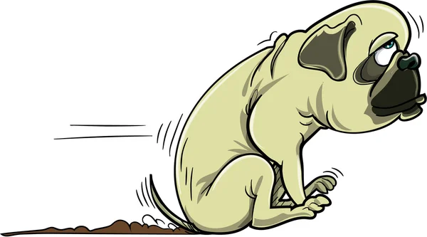Мультфильм собака мопс соскабливания его бум — стоковый вектор