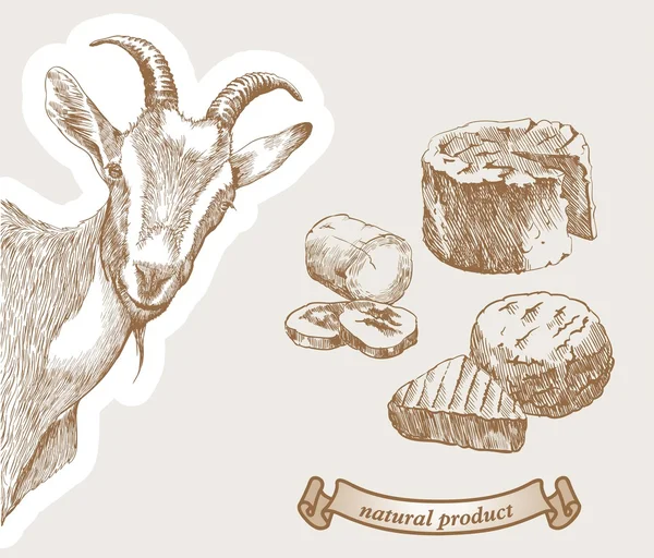 Коза и натуральные молочные продукты — стоковое фото