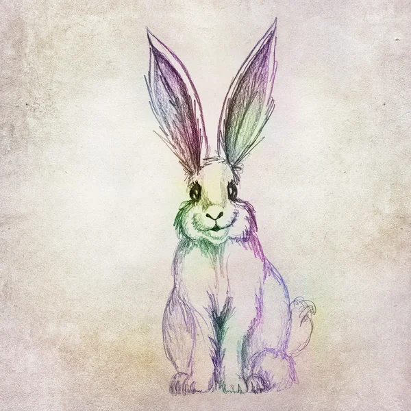 Красочный рисунок кролика — стоковое фото