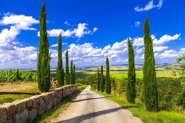Пейзажи Тосканы, аллея с кипарисами. Италия — стоковое фото
