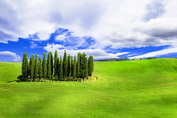 Минимализм в природе - зеленые холмы Валь д ' Орча, Тоскана, Италия — стоковое фото