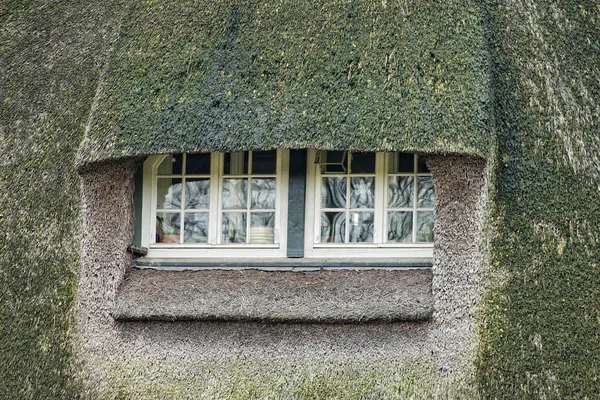 Стиль кино хоббита окна травы — стоковое фото