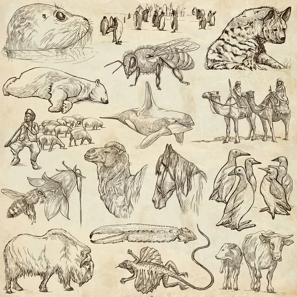 Животные - эскизов на старой бумаге — стоковое фото
