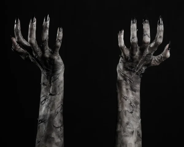 Чёрная рука смерти, ходячие мертвецы, зомби тема, тема halloween, руки зомби, черный фон, изолированные, рука смерти, мумия руки, руки дьявола, черные ногти, руки монстра — стоковое фото