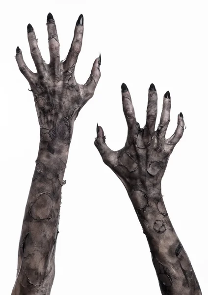 Чёрная рука смерти, ходячие мертвецы, зомби тема, тема halloween, руки зомби, белый фон, изолированные, рука смерти, мумия руки, руки дьявола, черные ногти, руки монстра — стоковое фото