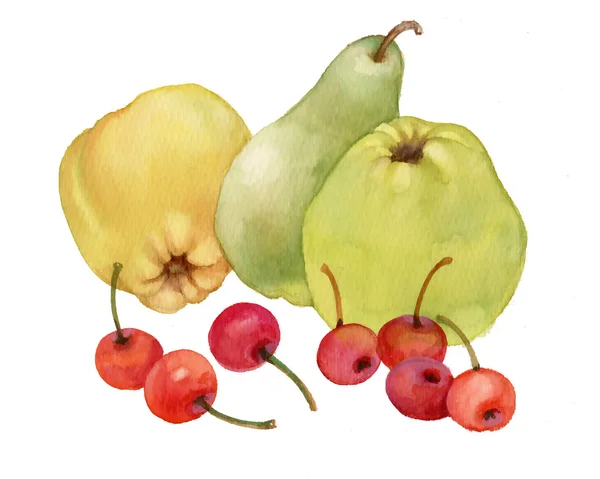 Яблоки, груши и вишни — стоковое фото