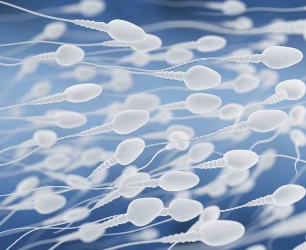 Сперматозоида — стоковое фото