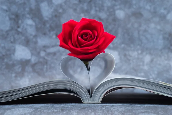 Роуз размещены на странице книги, которая изгибается в форме сердца — стоковое фото